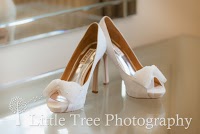 Little Tree Wedding Photography 1093078 Image 0